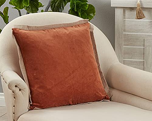 Cotton Velvet Flange Throw Pillow, 20" x 20"