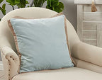 Cotton Velvet Flange Throw Pillow, 20" x 20"