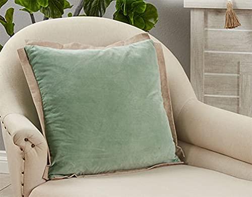 Cotton Velvet Flange Throw Pillow, 20" x 20"