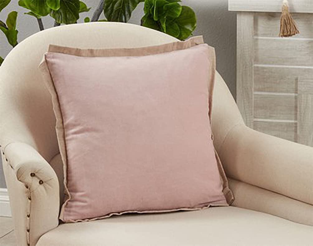 Cotton Velvet Flange Throw Pillow, 20" x 20"