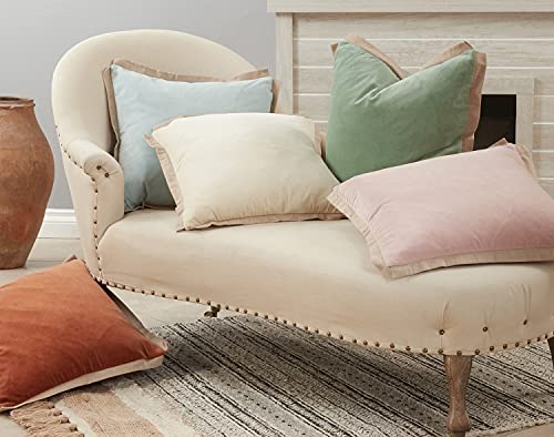 Cotton Velvet Flange Throw Pillow, 20" x 20"