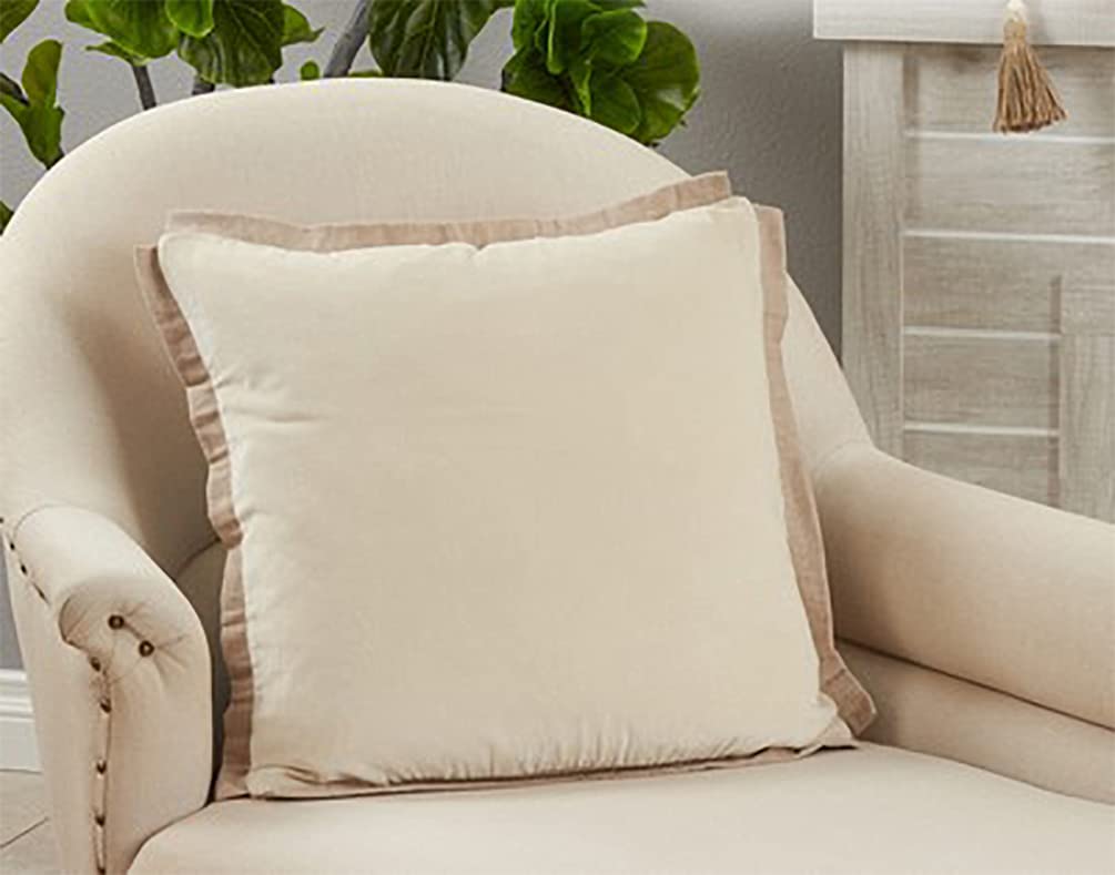 Cotton Velvet Flange Throw Pillow, 20" x 20"