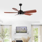 DURDEN CEILING FAN Design