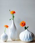 Textured White Porcelain Bud Vases, Set of 3
