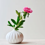 Textured White Porcelain Bud Vases, Set of 3
