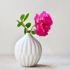 Textured White Porcelain Bud Vases, Set of 3