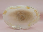Raw Edge Onyx Catchall Dish, Cream