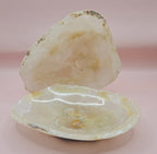 Raw Edge Onyx Catchall Dish, Cream